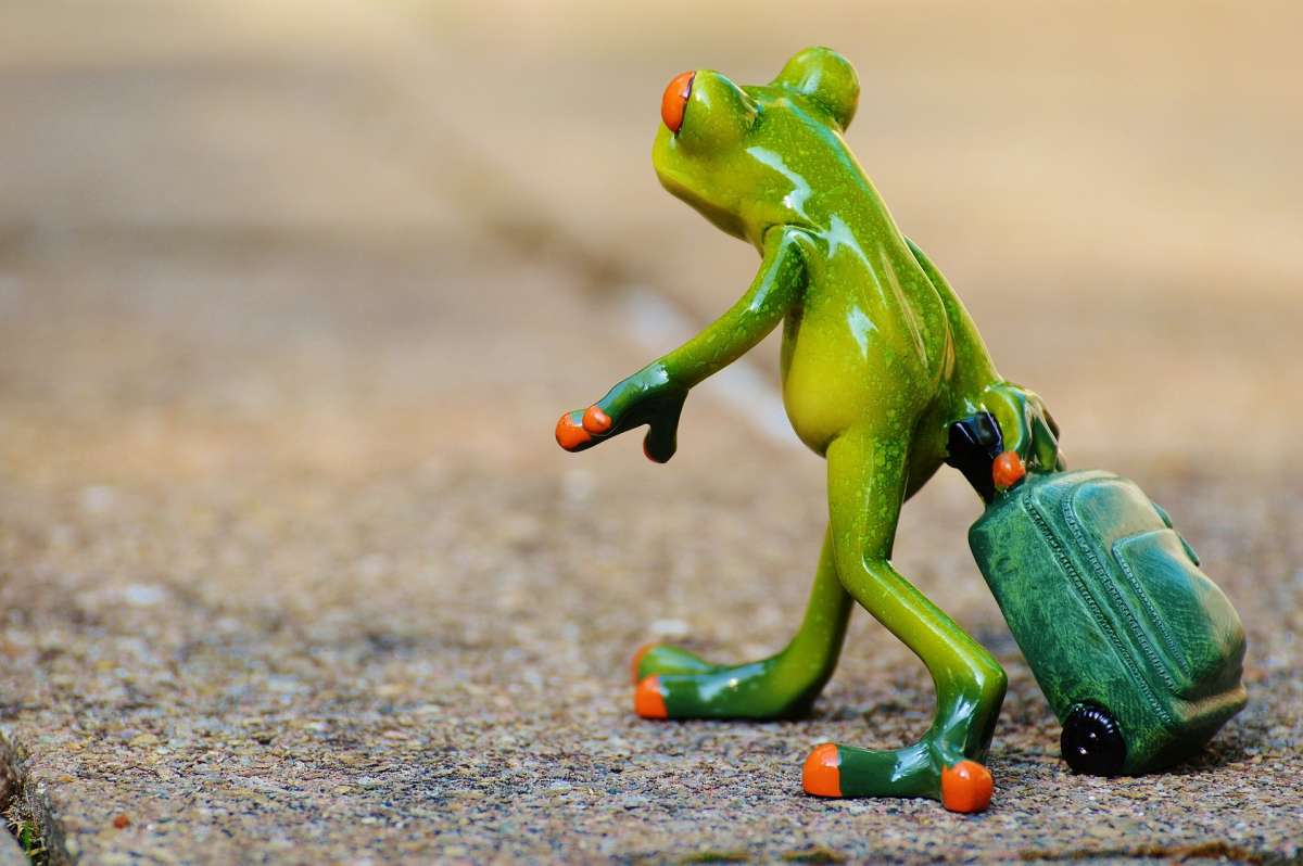 Afbeelding van Hoe ziet een coaching- en/of therapietraject eruit?